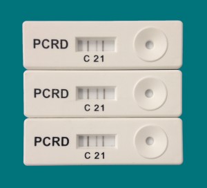 Ӣ(gu)Pocket DiagnosticyʽPCRa(chn)ﶨԙzy(c)(h)PCRzy(c)